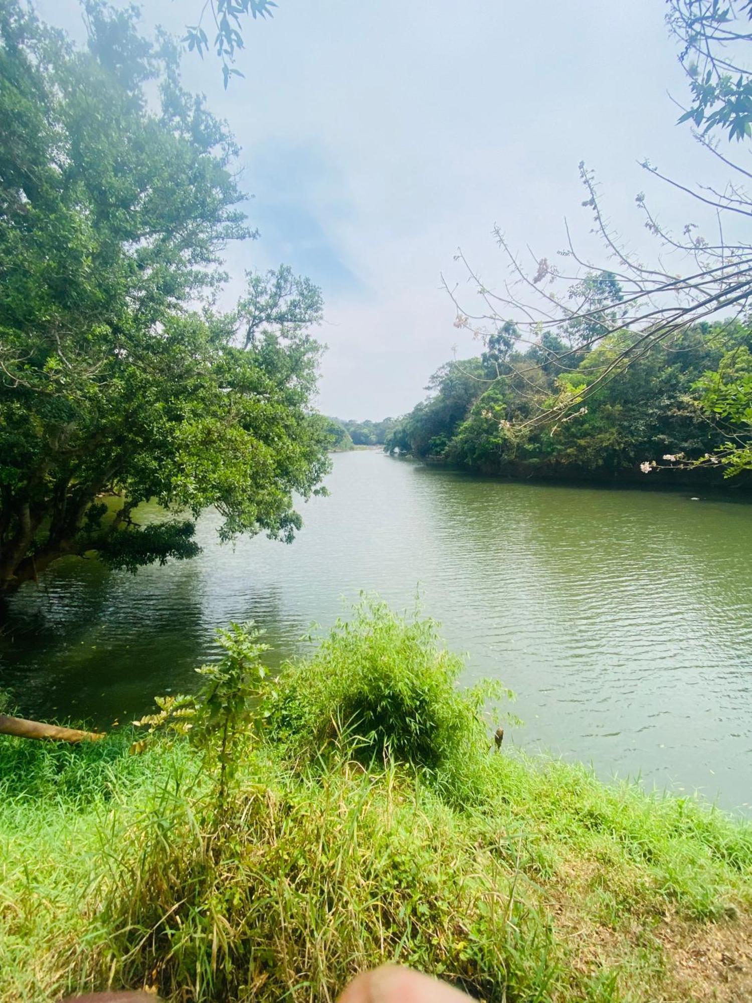 Happydays Hut Villa มานันทาวดี ภายนอก รูปภาพ